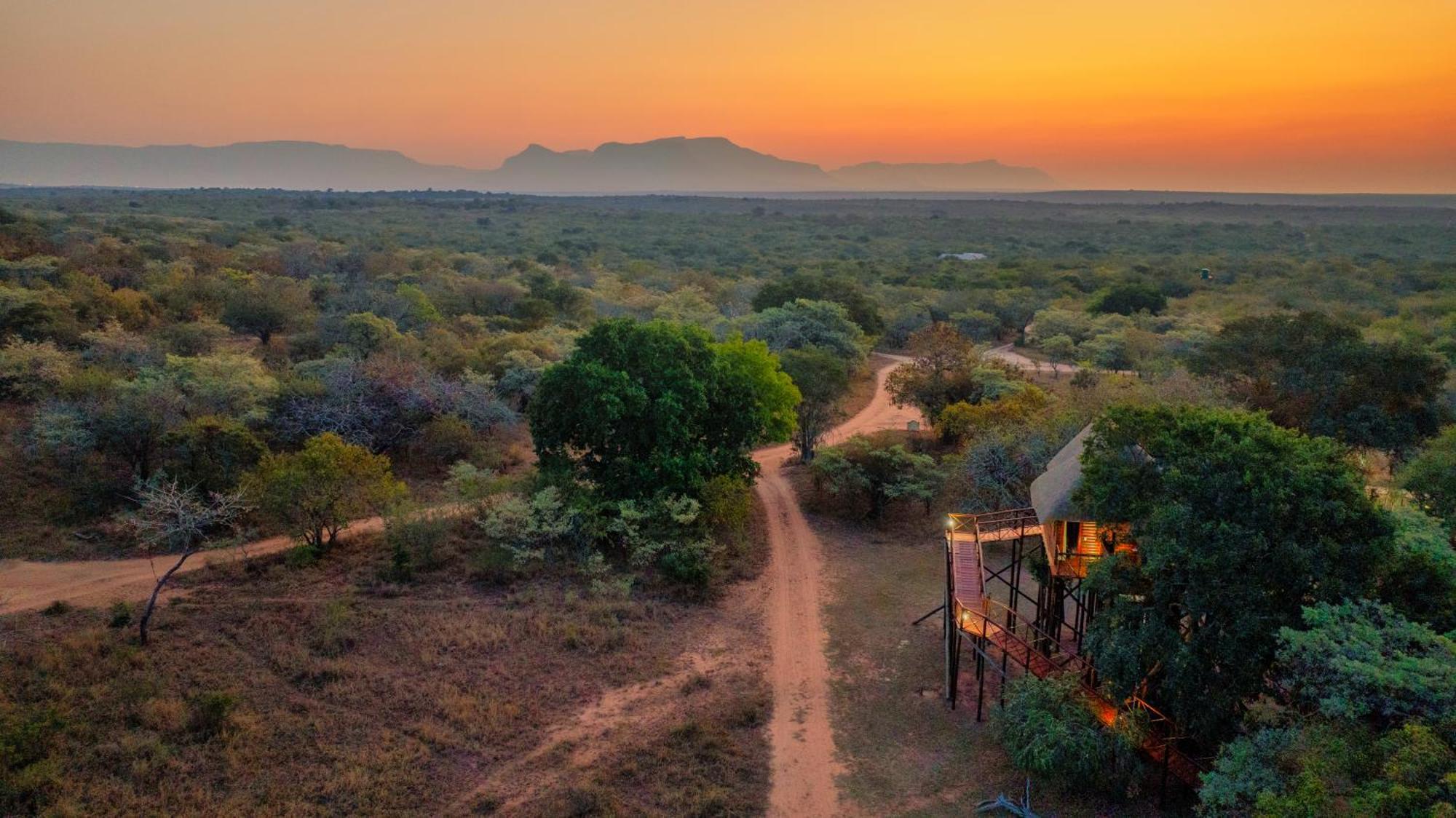 Pezulu Tree House Lodge Hoedspruit Exterior foto