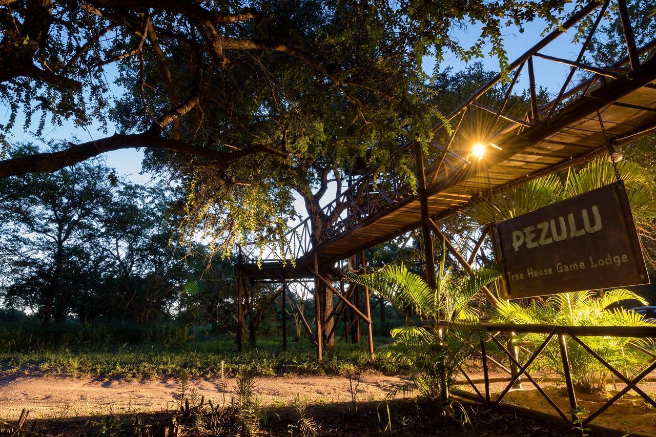 Pezulu Tree House Lodge Hoedspruit Exterior foto