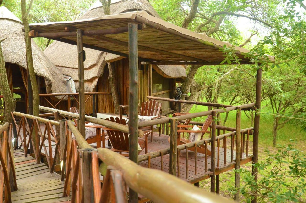 Pezulu Tree House Lodge Hoedspruit Exterior foto